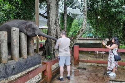 Kuala Gandah & Batu Caves Day Trip