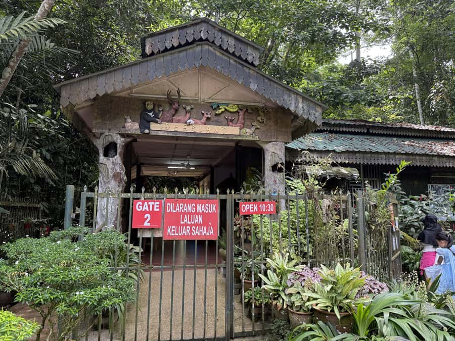 From Kuala Lumpur: Kuala Gandah Elephant Sanctuary Day Trip - Deerland Park brings a smaller, quieter animal encounter