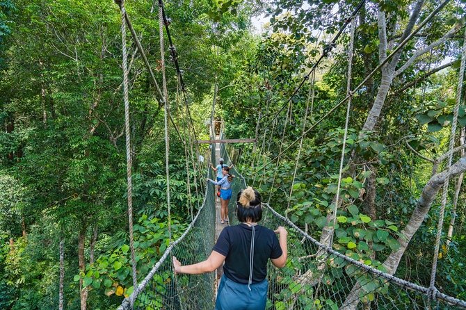 From Kuala Lumpur Taman Negara Day Trip With Lunch - Key points at a glance