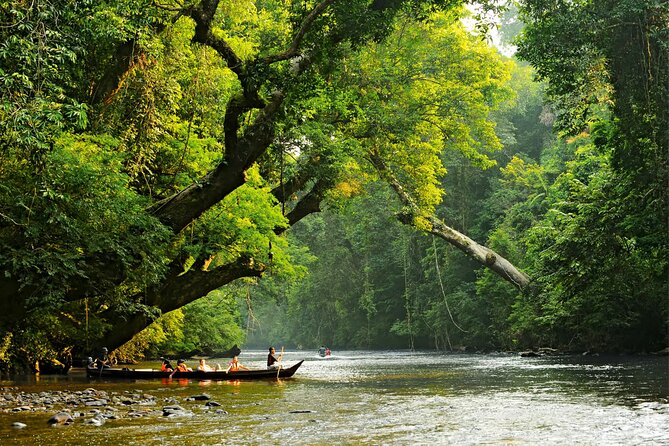 From Kuala Lumpur Taman Negara Day Trip With Lunch - The 6:00 am start and four hours on the road