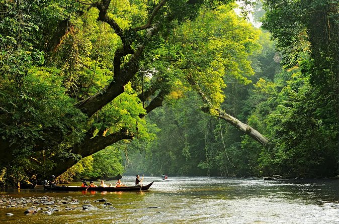 From Kuala Lumpur Taman Negara Day Trip With Lunch - Meeting the Batek Indigenous community