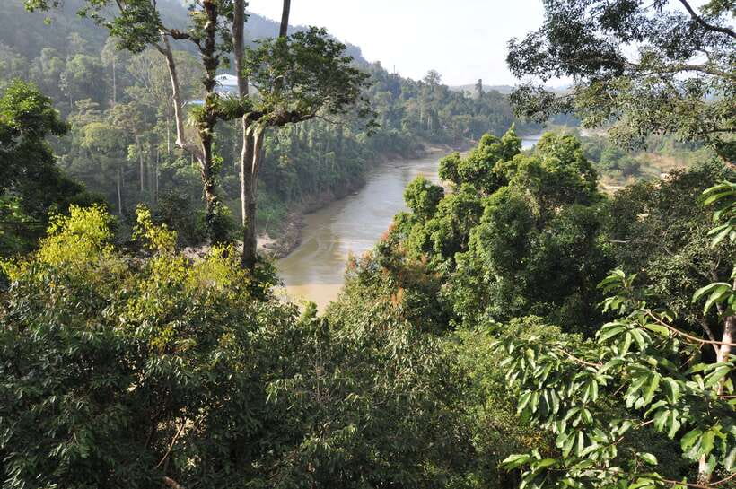 From Kuala Lumpur: Taman Negara National Park Trek Day Tour - Kuala Tahan and the first steps into the forest
