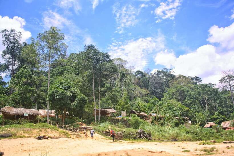From Kuala Lumpur: Taman Negara National Park Trek Day Tour - Tembeling River rapid shooting and the soaking you expect