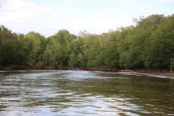 Full Day Bongawan River Cruise with Proboscis Monkey Sightseeing - Bongawan beach, sunset, and Sky Mirror photos