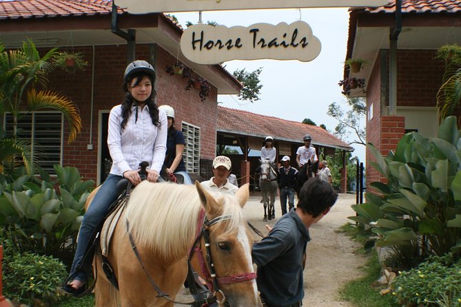 Full-Day Bukit Tinggi French Village Tour - Timing, transport, and comfort on the day