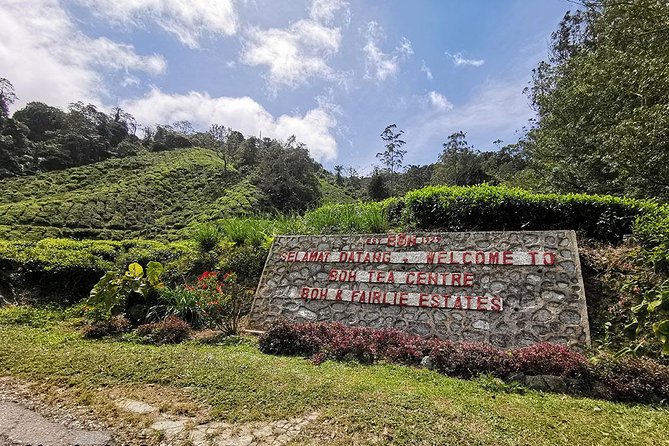 Full-day Cameron Highlands Day Trip from Kuala Lumpur - BOH Tea Plantation is the day’s highlight