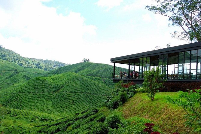 Full-day Cameron Highlands Day Trip from Kuala Lumpur - Sam Poh Temple above Brinchang