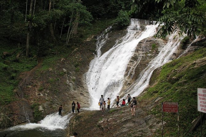 Full-day Cameron Highlands Day Trip from Kuala Lumpur - Is $151.95 a fair price?