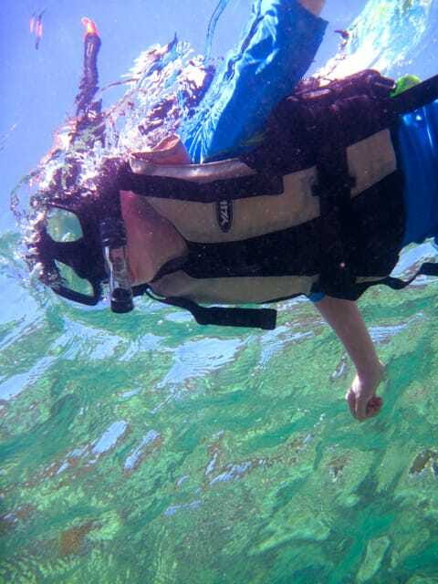 Full-Day Guided Snorkeling Tour from Kota Kinabalu - The first reef stop: learning to read the coral