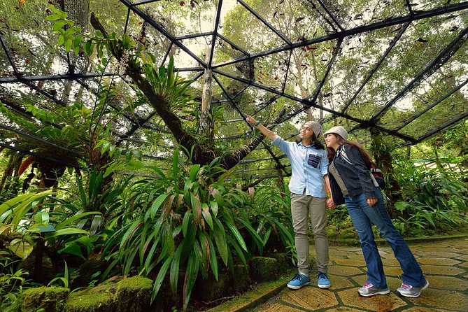 Full-Day Kinabalu Park and Poring Hot Spring Day Trip - Why this day trip makes sense from Kota Kinabalu