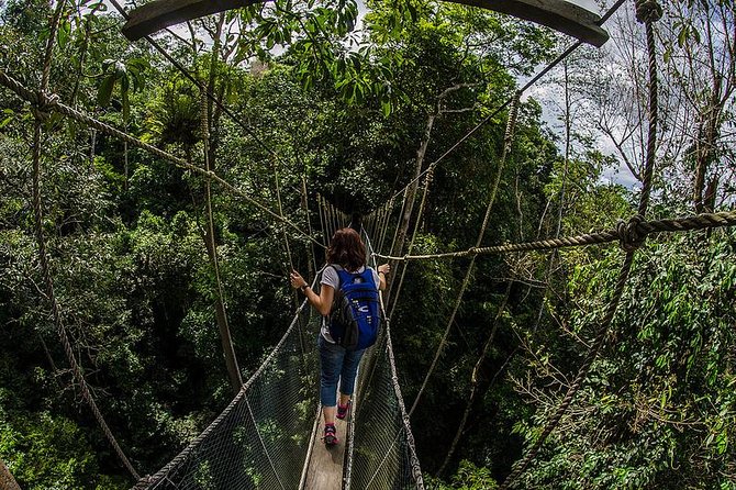Full-Day Kinabalu Park and Poring Hot Spring Day Trip - What the Poring Hot Springs stop is really like