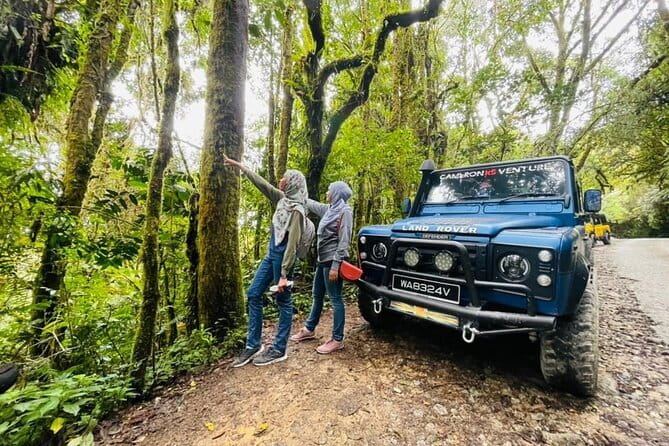 Full Day Mossy Forest Experience - Five useful things to know before you go