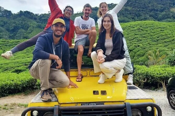 Full Day Mossy Forest Experience - Tea, machinery, and views at Sungai Palas BOH