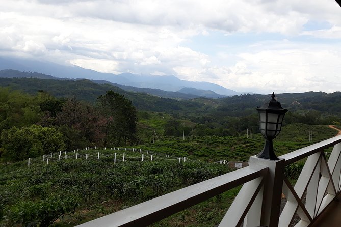Full Day Sabah Tea Plantation & WWII Memorial - Why This Full-Day Sabah Trip Works
