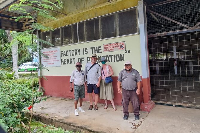 Full Day Sabah Tea Plantation & WWII Memorial - The Drive And The Mountain Setting
