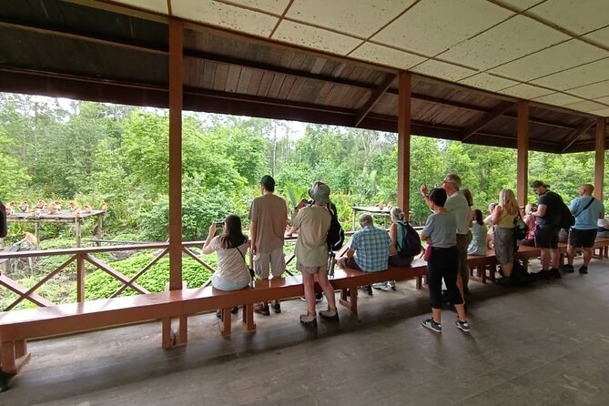 Full-Day Sepilok Orangutan and Proboscis Monkey from Sandakan or Kota Kinabalu - What the guide adds to the day