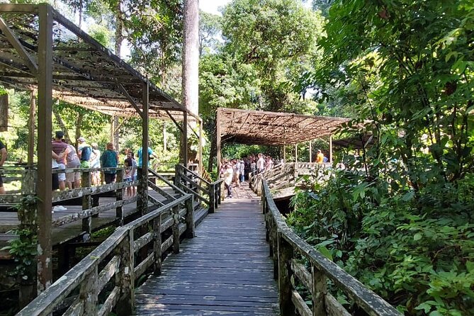 Full-Day Sepilok Orangutan and Proboscis Monkey from Sandakan or Kota Kinabalu - Who should book this experience?