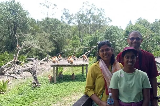 Full-Day Sepilok Orangutan and Proboscis Monkey from Sandakan or Kota Kinabalu - Labuk Bay at the 11:30am feeding