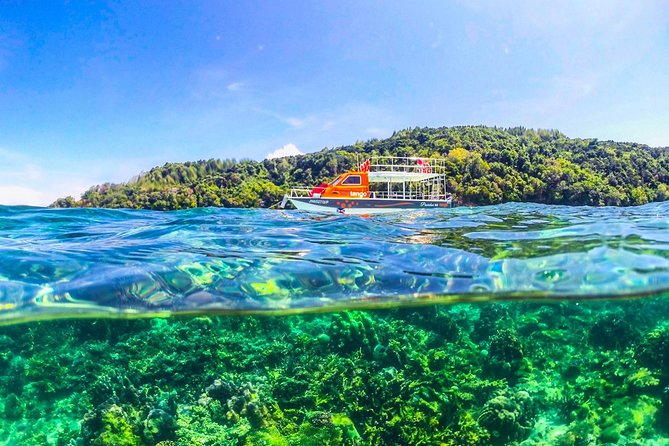 Fun Boat Snorkeling and Island Visit from Kota Kinabalu - The return ride to Kota Kinabalu