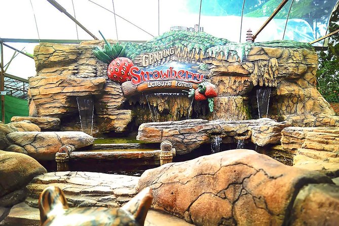 Genting Day Tour From Kuala Lumpur Include 2-way Cable Car Ride - The short Geneve Timepiece stop