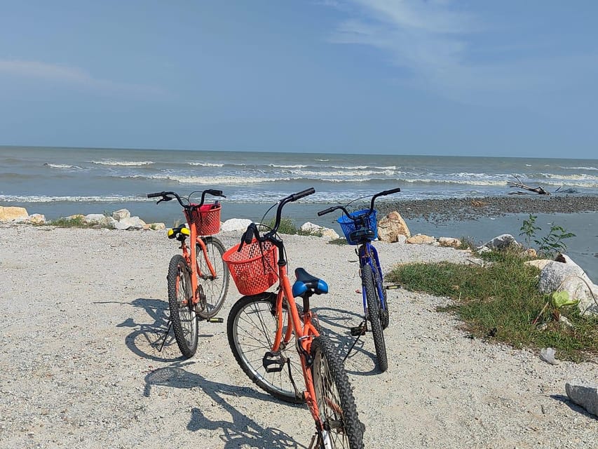 George Town: Balik Pulau Countryside Morning Cycling Tour - The container art photo stop