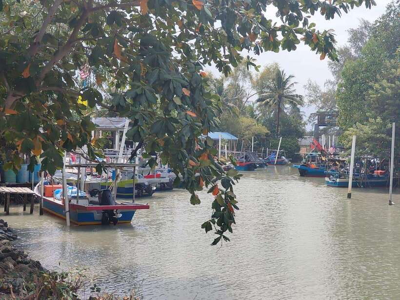 George Town: Balik Pulau Countryside Morning Cycling Tour - Morning tea, banana cake, and cool drinks