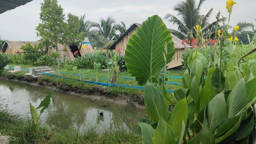 George Town: Balik Pulau Countryside Morning Cycling Tour - Is the $47 price good value?