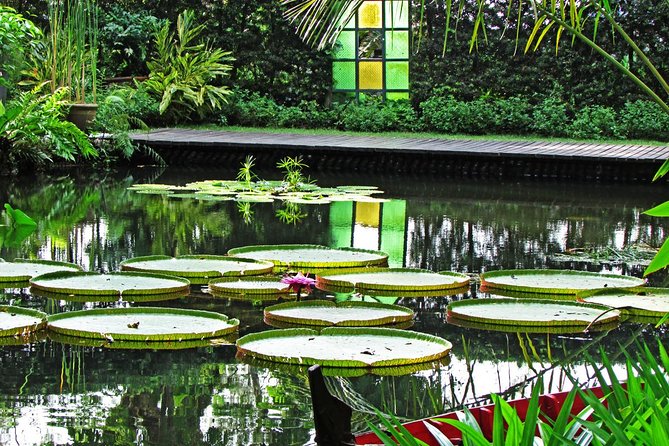 George Town Highlights & Upside Down Museum tours (4 Hours) - Coffee Tree, White Coffee, and Crown Pewter