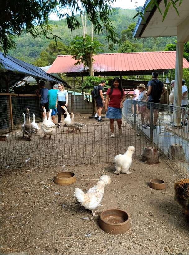 George Town, Penang: Malay Countryside Cycling - Leaving George Town for Balik Pulau