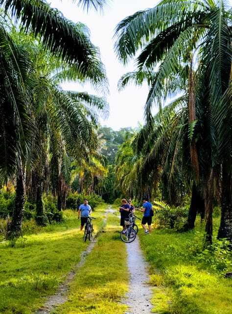 George Town, Penang: Malay Countryside Cycling - Should you book Malay Countryside Cycling?
