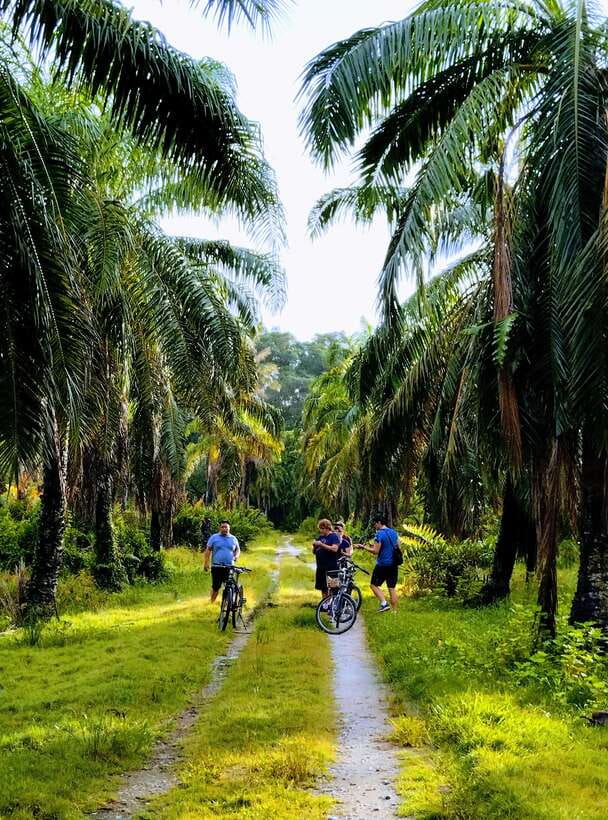 George Town, Penang: Malay Countryside Cycling - Getting a bicycle and your first village briefing