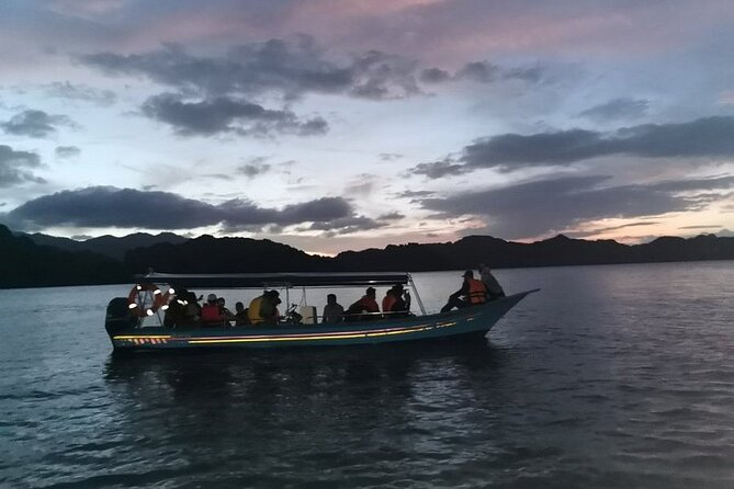 Glow-in-the-Dark Mangrove Adventure – Night Safari Plus Dinner - Why the 3:00 pm Start Matters