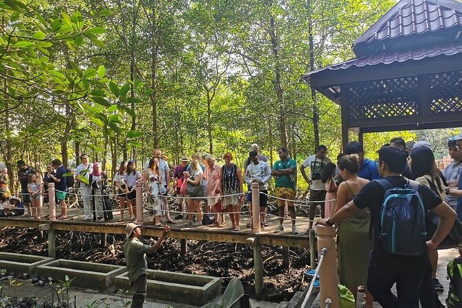 Glow-in-the-Dark Mangrove Adventure – Night Safari Plus Dinner - Fireflies and the Glow on the Water