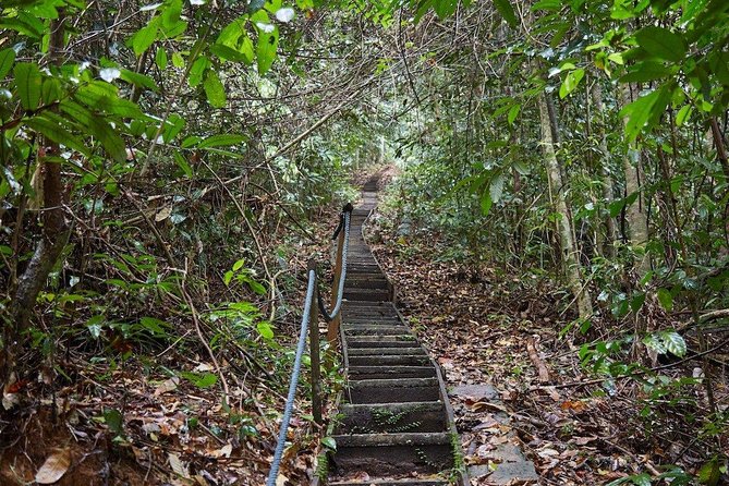 Gunung Gading National Park Tour - Why Gunung Gading makes a good day trip from Kuching