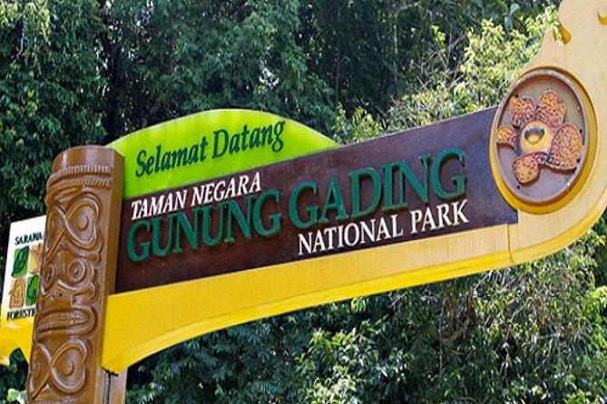Gunung Gading National Park Tour - Walking the park’s forest routes