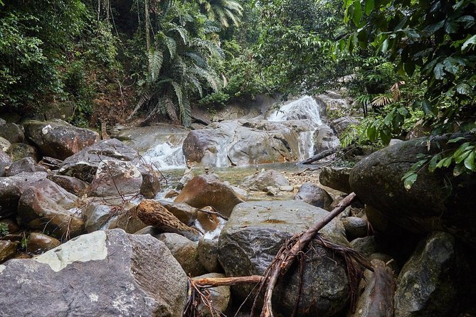 Gunung Gading National Park Tour - What the $112 price includes