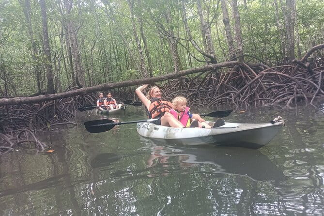 Half-day 4 Hours Kilim Mangrove Kayaking (Without hotel pickups) - Key points to know before booking