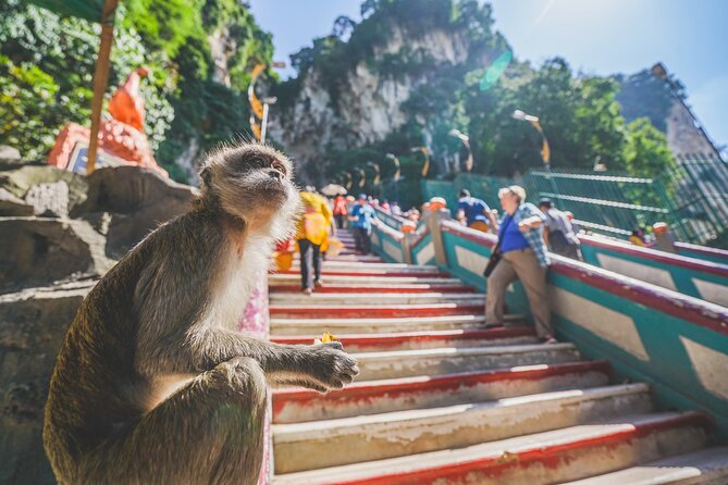 Half Day Batu Caves Group Tour in Kuala Lumpur Including Pickup - The National Mosque and a Friday limitation