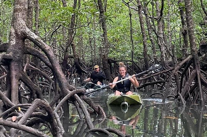 Half-Day Geopark Mangrove Kayaking Adventure - Your first paddle through the mangroves