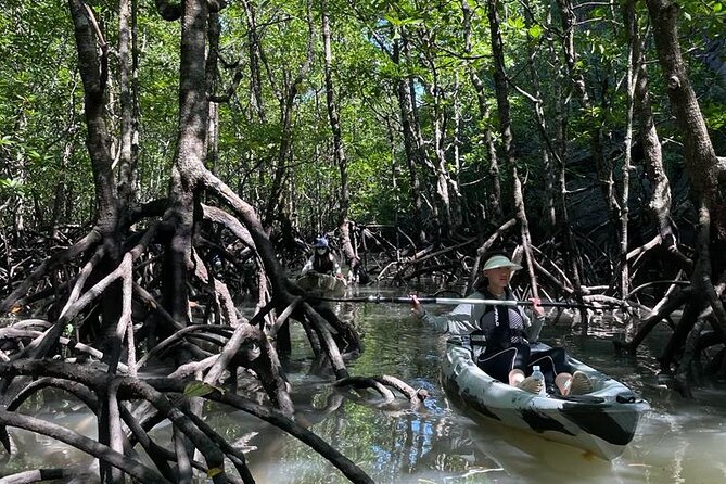 Half-Day Geopark Mangrove Kayaking Adventure - Nature talk from Qin and the guide team