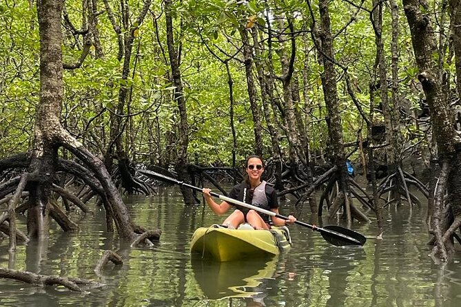 Half-Day Geopark Mangrove Kayaking Adventure - What the $67.68 price includes