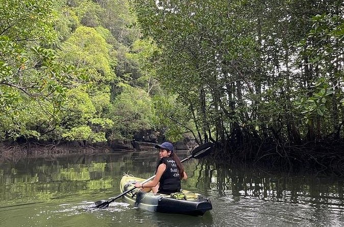 Half-Day Geopark Mangrove Kayaking Adventure - Who will enjoy this half-day outing