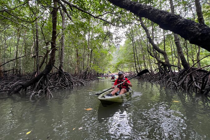 Half-Day Mangrove Kayaking in Langkawi - Meeting at 10 a.m. at Kilim River Tourism Jetty