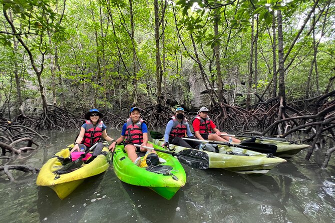Half-Day Mangrove Kayaking in Langkawi - Is $77.57 a fair price?