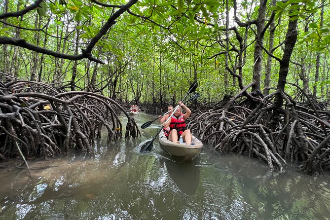 Half-Day Mangrove Kayaking in Langkawi - The 10:30 a.m. briefing and included equipment
