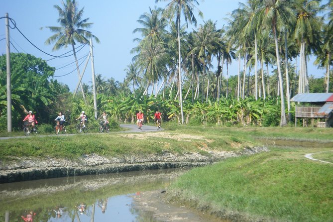 Half-Day Penang Countryside Cycling Tour - Why Balik Pulau Makes a Better Morning Than More City Streets
