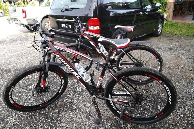 Half-Day Penang Countryside Cycling Tour - Is $32.31 Good Value?