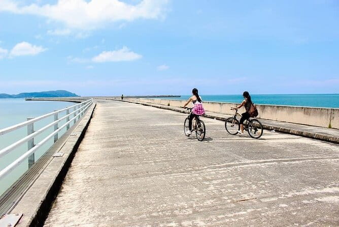 Half day tour Cable Car & Skybridge - Pace, comfort, and access
