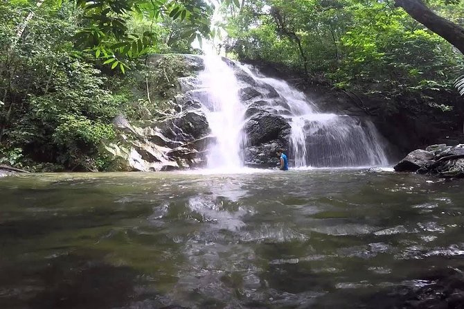 Hot Spring and Waterfall Day Tour - Timing, food, and what to bring