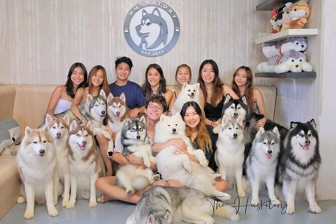 Huskitory Connecting People and Dogs - Key things to know before you go